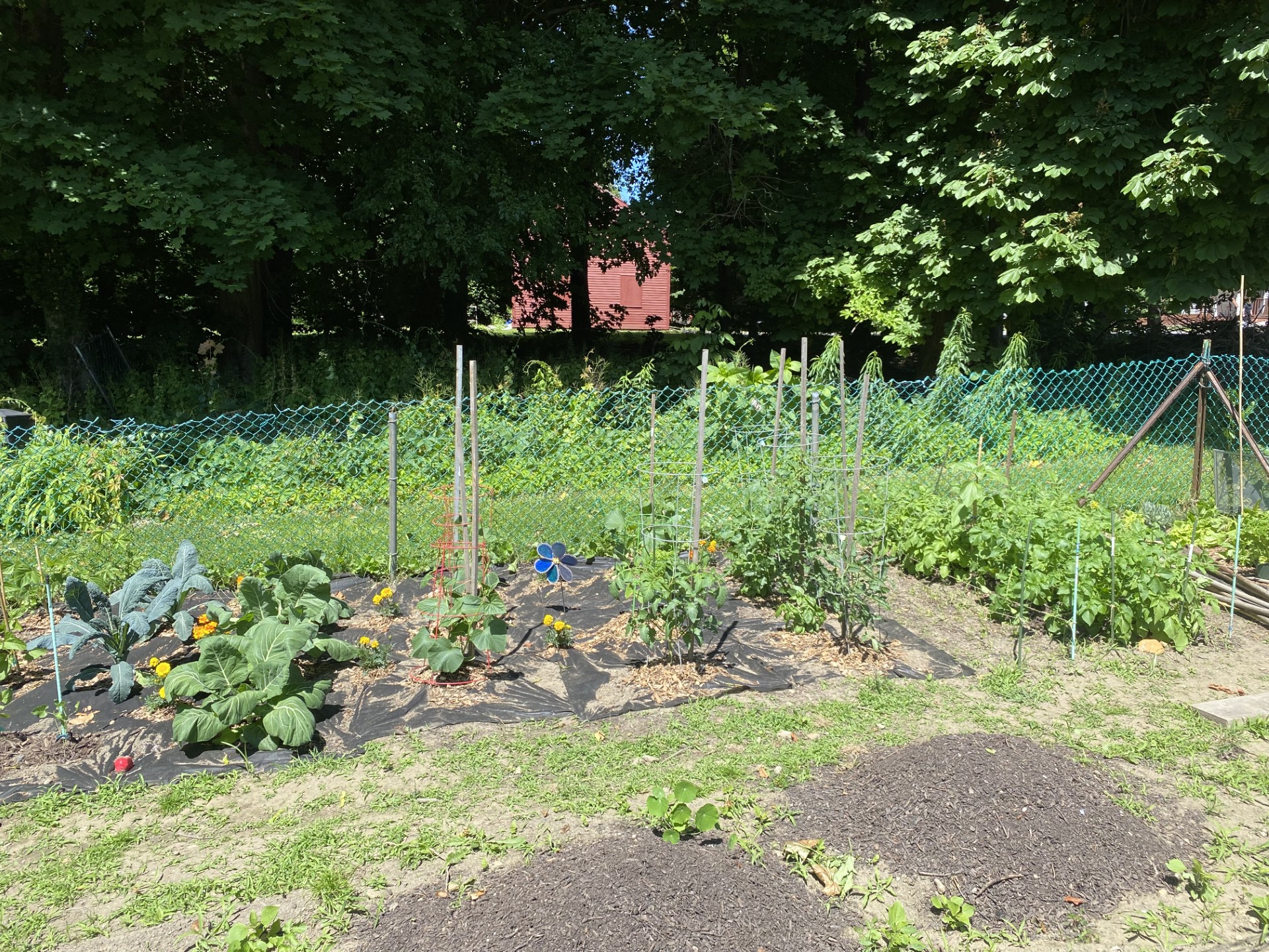 Garden